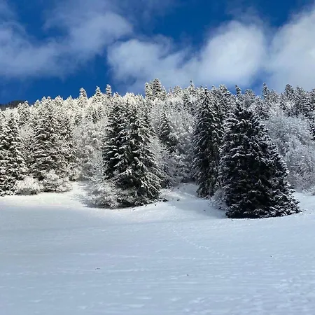 아파트 2 Personnes Avec Parking Vionnaz