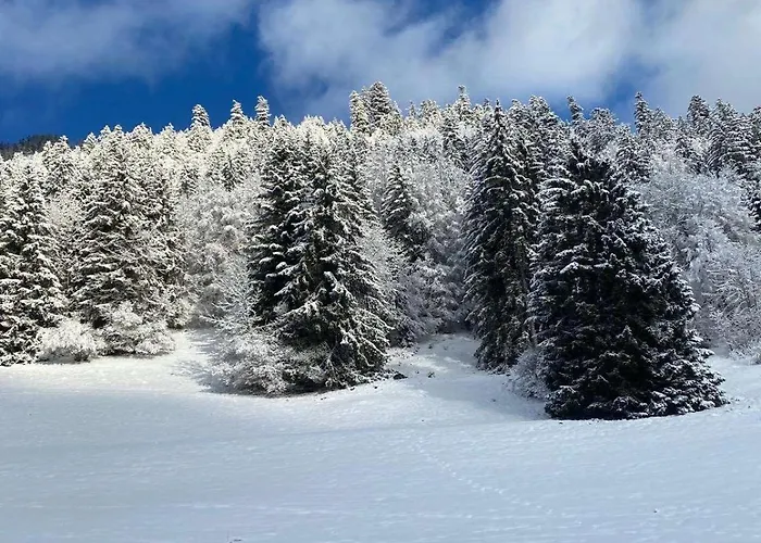 Апартаменты 2 Personnes Avec Parking Vionnaz