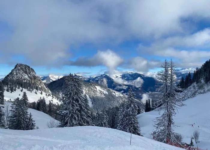 Апартаменты 2 Personnes Avec Parking