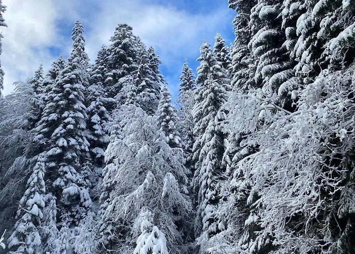 2 Personnes Avec Parking * Vionnaz