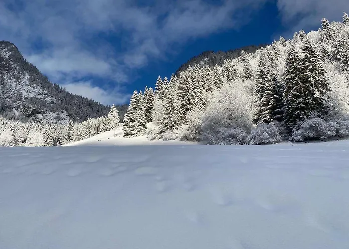 2 Personnes Avec Parking Vionnaz