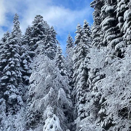 2 Personnes Avec Parking * Vionnaz