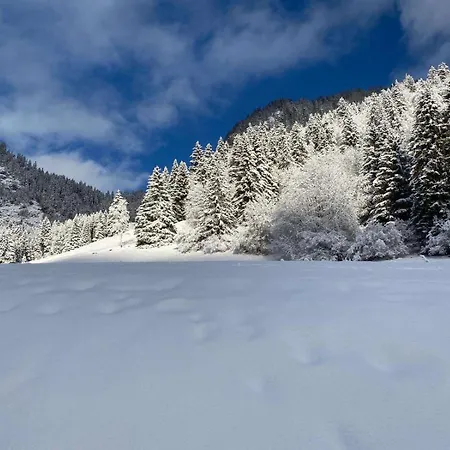 2 Personnes Avec Parking Vionnaz